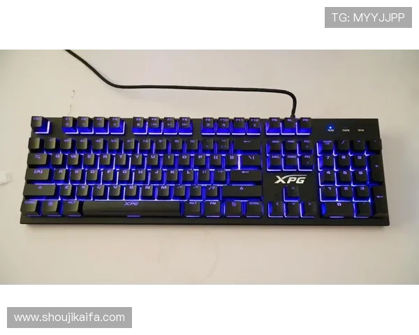 凯发网投游戏种类丰富多样,满足不同玩家的娱乐体验需求